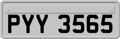 PYY3565
