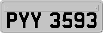 PYY3593