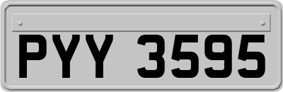 PYY3595