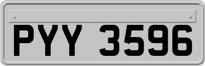 PYY3596