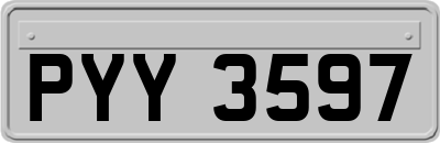 PYY3597
