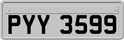 PYY3599