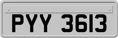 PYY3613