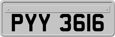 PYY3616