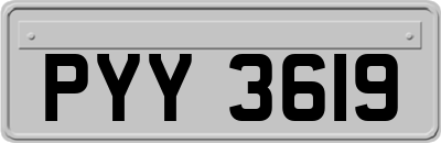PYY3619