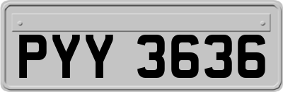 PYY3636
