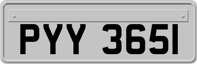 PYY3651