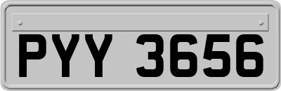 PYY3656