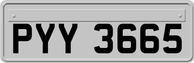 PYY3665