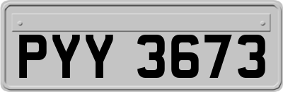 PYY3673