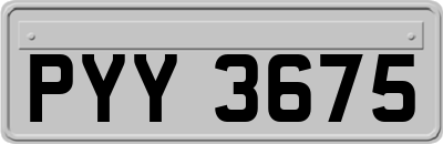PYY3675