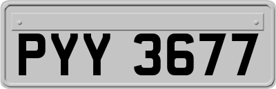 PYY3677