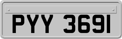 PYY3691