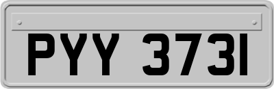 PYY3731