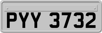 PYY3732