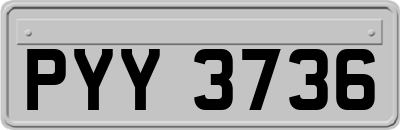 PYY3736