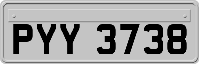 PYY3738
