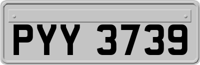 PYY3739