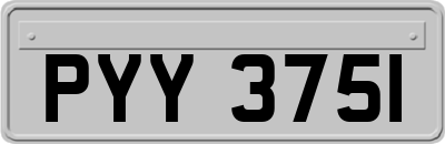 PYY3751