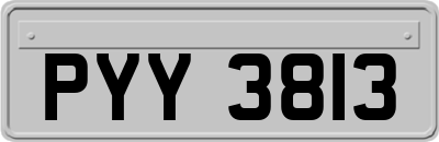 PYY3813