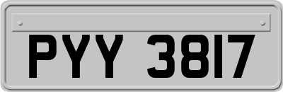 PYY3817