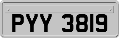 PYY3819
