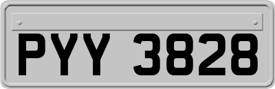 PYY3828