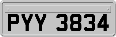 PYY3834