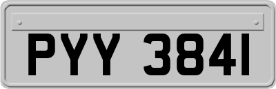 PYY3841