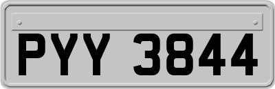 PYY3844