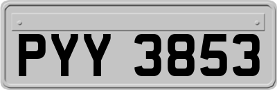 PYY3853