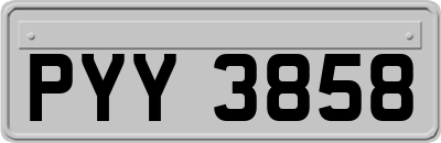 PYY3858