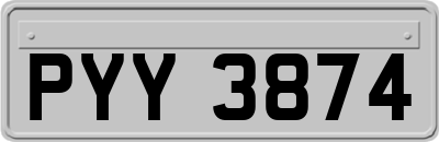 PYY3874