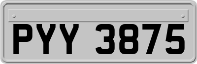 PYY3875