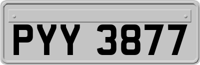 PYY3877