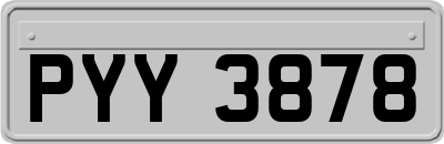 PYY3878