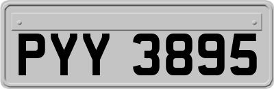 PYY3895