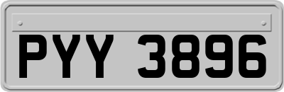 PYY3896