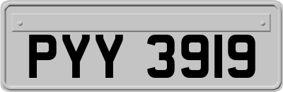PYY3919