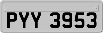 PYY3953