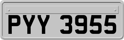 PYY3955