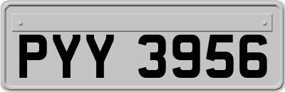 PYY3956