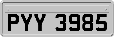 PYY3985