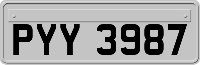 PYY3987