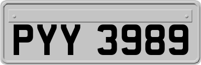 PYY3989