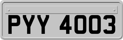 PYY4003