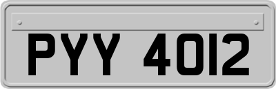 PYY4012