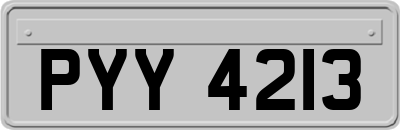 PYY4213