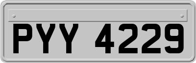 PYY4229