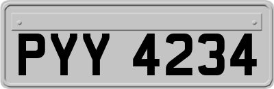 PYY4234